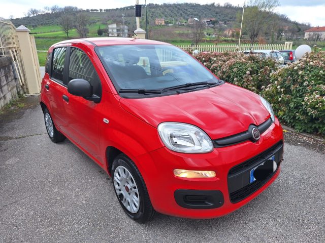 FIAT Panda usata, con Alzacristalli elettrici