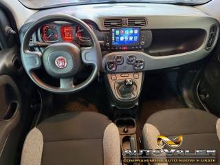 FIAT Panda usata, con Cronologia tagliandi