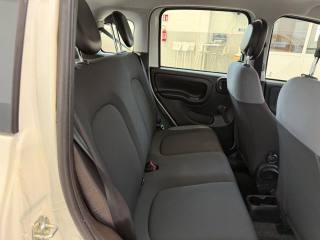 FIAT Panda usata 12