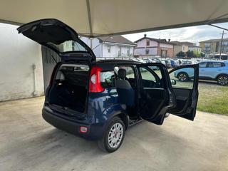 FIAT Panda usata 38