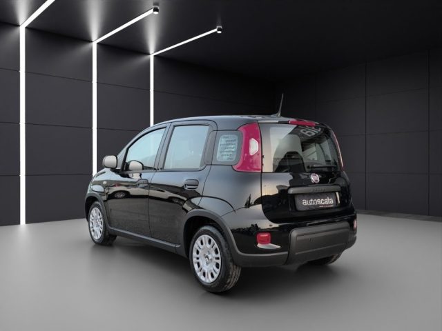 FIAT Panda usata, con Airbag Passeggero