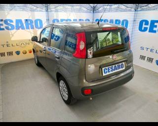 FIAT New Panda usata, con Alzacristalli elettrici