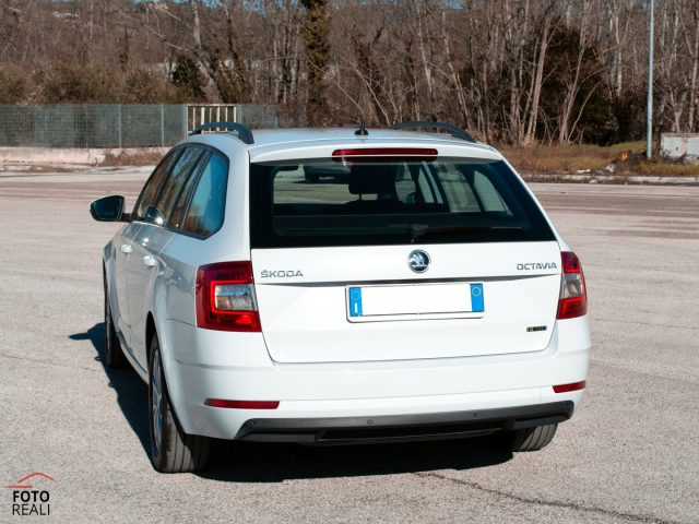 SKODA Octavia usata, con Airbag Passeggero
