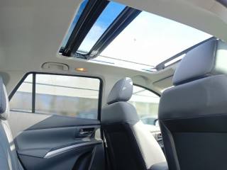 SUZUKI S-Cross usata, con Immobilizzatore elettronico