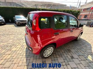 FIAT Panda usata, con Airbag Passeggero