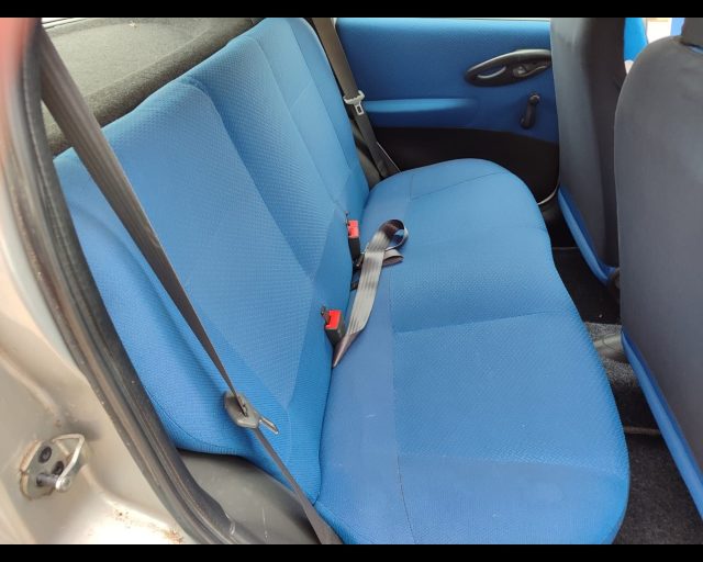 FIAT Punto usata 12