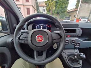 FIAT Panda usata, con Immobilizzatore elettronico