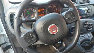 FIAT Panda usata 26