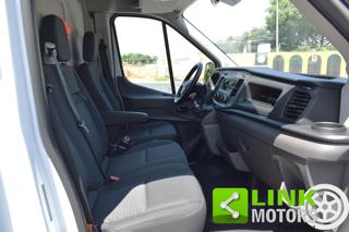 FORD Transit usata, con Fendinebbia