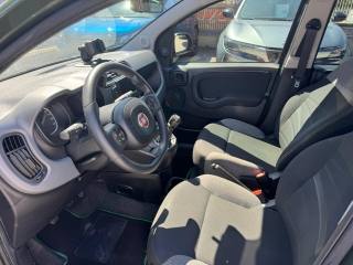 FIAT Panda usata, con Climatizzatore