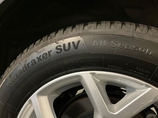 RENAULT Kadjar usata 24