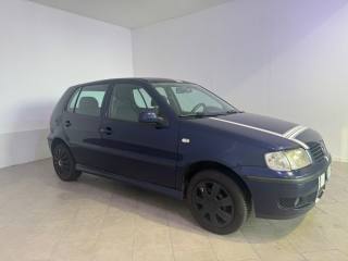 VOLKSWAGEN Polo usata 15