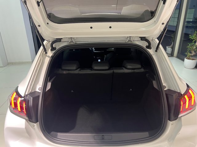 PEUGEOT 208 usata, con Cruise Control