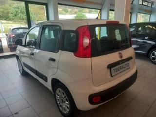 FIAT Panda usata, con Airbag Passeggero