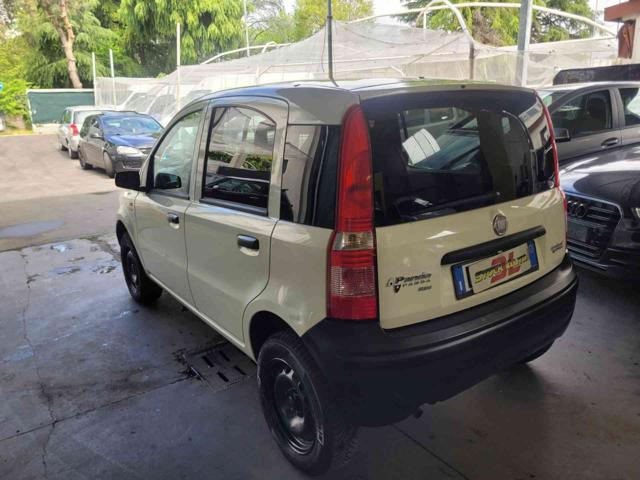 FIAT Panda usata 3
