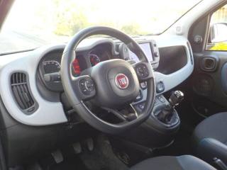 FIAT Panda usata, con Volante multifunzione