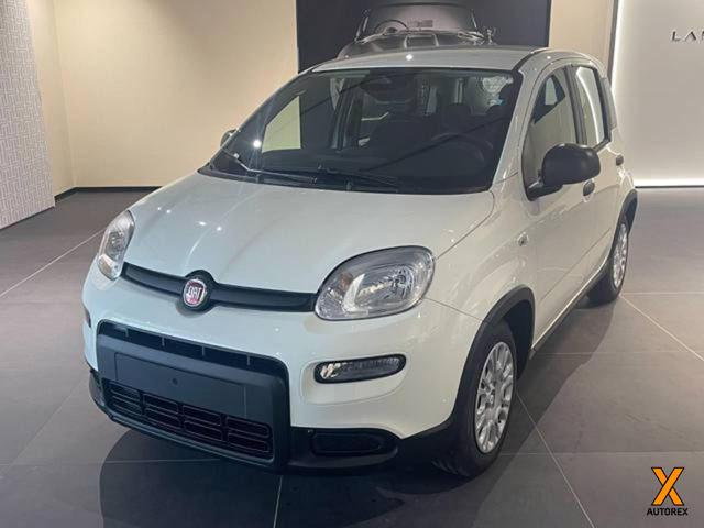 FIAT Panda usata, con Airbag Passeggero