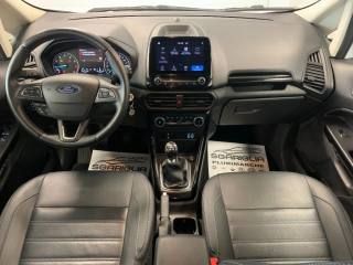 FORD EcoSport usata, con Boardcomputer