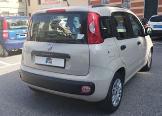 FIAT Panda usata, con Climatizzatore