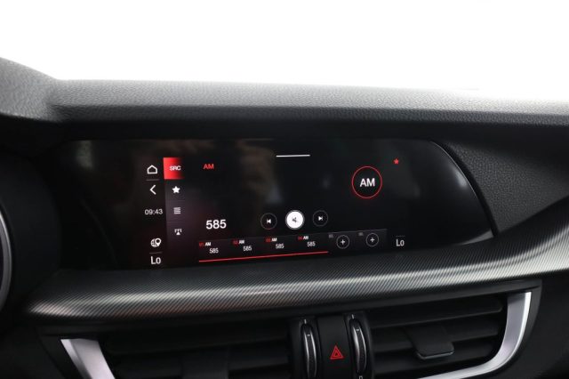 ALFA ROMEO Stelvio usata 10
