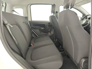 FIAT Panda usata, con Cruise Control