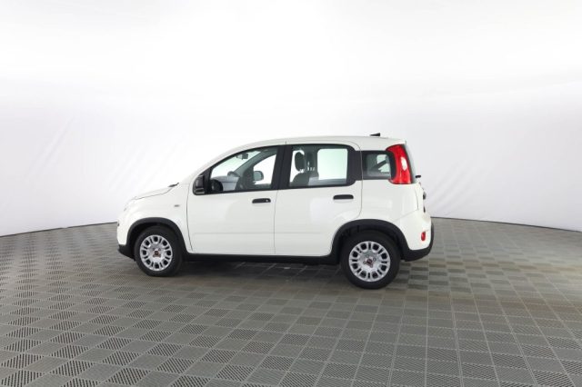 FIAT Panda usata 5