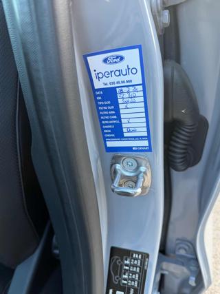 FORD Puma usata, con Fendinebbia