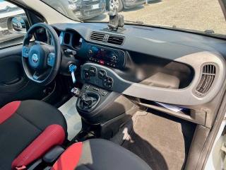 FIAT Panda usata 16