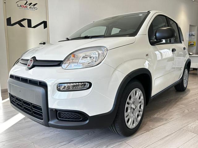 FIAT Panda usata, con ABS