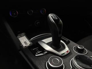 ALFA ROMEO Stelvio usata, con Vetri oscurati