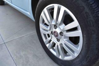 FIAT Punto usata 14