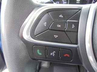 FIAT 500L usata 40