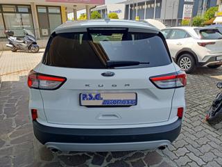 FORD Kuga usata, con Cronologia tagliandi