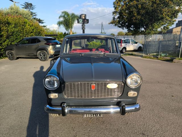 FIAT 1100 usata 1