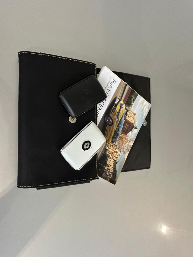 RENAULT Scenic usata, con Cruise Control