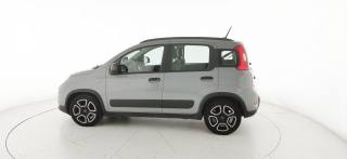 FIAT Panda usata 29