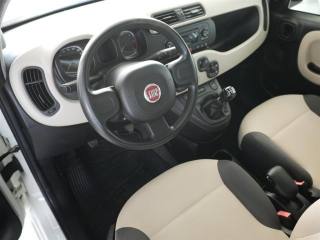 FIAT Panda usata, con Servosterzo