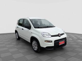 FIAT Panda usata 6