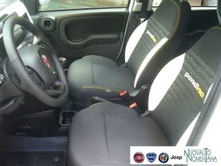 FIAT Panda Cross usata, con Autoradio digitale