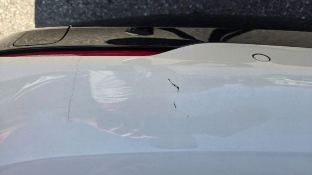 BMW 116 usata, con Cerchi in lega