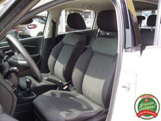 VOLKSWAGEN Polo usata, con Fendinebbia