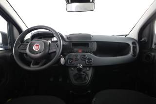 FIAT Panda usata 10