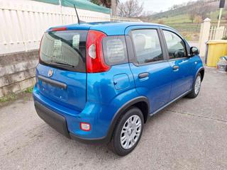 FIAT Panda usata, con Chiusura centralizzata