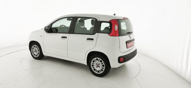 FIAT Panda usata 29