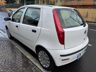 FIAT Punto usata, con Fendinebbia