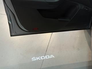 SKODA Karoq usata, con Interni in pelle