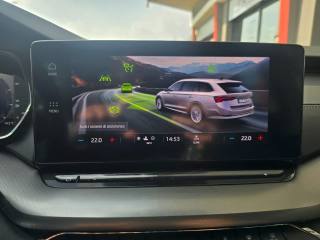 SKODA Octavia usata 71