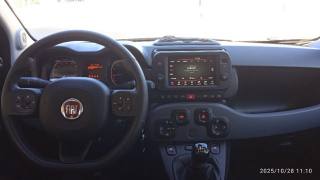 FIAT Panda Cross usata, con Sensore di luce