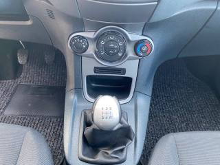 FORD Fiesta usata, con Cronologia tagliandi