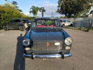 FIAT 1100 usata 1